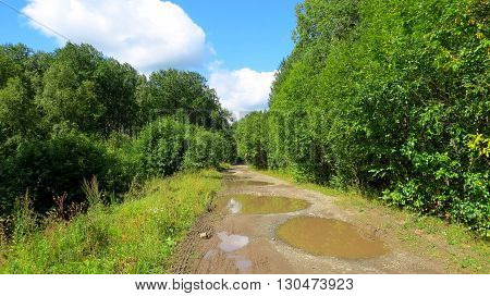 The road to the top of the mountain in summer day