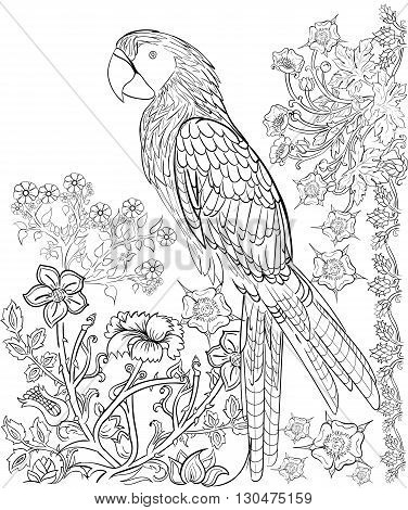 Hand drawn ink pattern. Coloring book for adult.