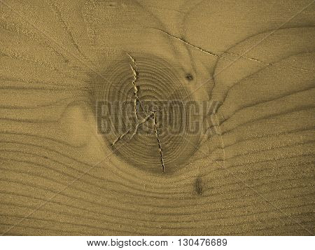 Larch Wood Background Sepia