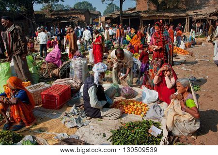 CHITRAKOOT, INDIA - DEC 29, 2012: Women buy fresh vegetables on the colorful market on December 29, 2012 in Chitrakoot India. India's arable land area of 159.7 mill.hectares is the 2nd largest in the world