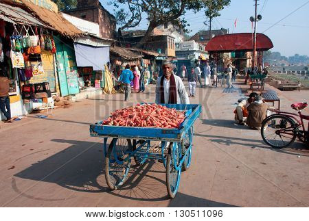 CHITRAKOOT, INDIA - DEC 29, 2012: Trader of the carrots walking down the sunny street on December 29, 2012 in Chitrakoot India. Population of Chitrakoot is 22294. By the legend god Rama lived here 11 years