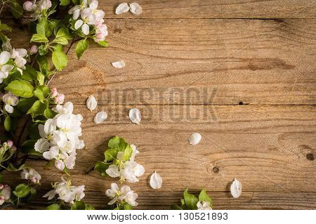 Spring post card background. Beautiful photo for post cards, gift cards etc. Rustic wooden background and apple blossoms. Copy space for text