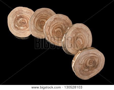Five cuts of the birch, laid out in an arc on top of each other on black background