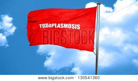 toxoplasmosis, 3D rendering, a red waving flag