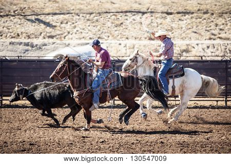 Wickenburg, USA - February 5, 2013: Riders compete in a team roping competition in Wickenburg, Arizona, USA