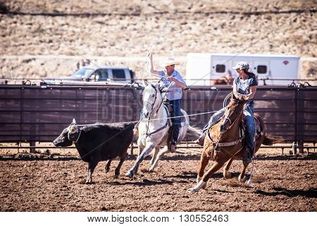 Wickenburg, USA - February 5, 2013: Riders compete in a team roping competition in Wickenburg, Arizona, USA