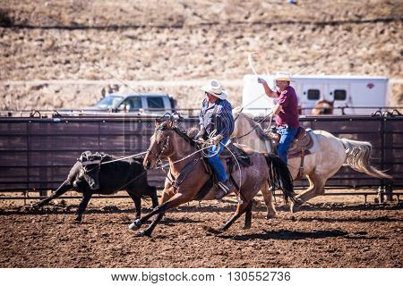 Wickenburg, USA - February 5, 2013: Riders compete in a team roping competition in Wickenburg, Arizona, USA