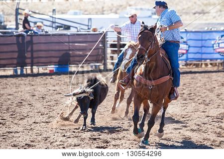 Wickenburg, USA - February 5, 2013: Riders compete in a team roping competition in Wickenburg, Arizona, USA