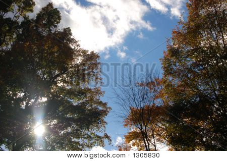 Sunlight