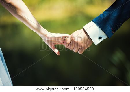 The couple holding hands. Bride and groom