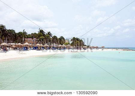 Palm beach on Aruba island in the Caribbean