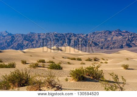 Mesquite Flat Sand Dunes, Near Stovepipe Wells Death Valley Np