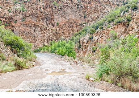 A wet Nuwekloofpas (new valley pass) crossing a small river while descending into the Baviaanskloof (baboon valley) during a rain storm