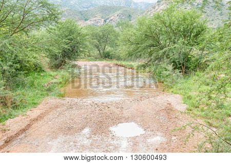 The road through the wilderness area in the Baviaanskloof (baboon valley) crosses the Baviaans River on a concrete causeway one of many such crossings on the road