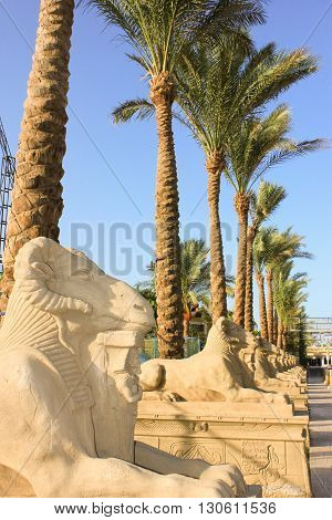 Statue of ram-headed sphinx and pharoah at Sun Light