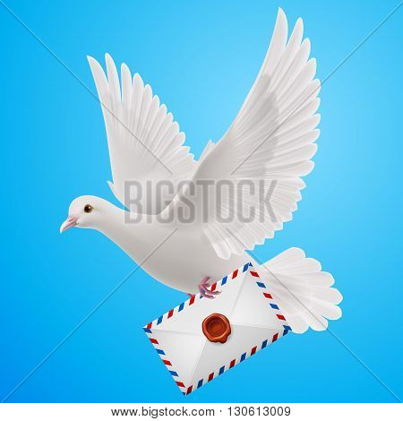 Pigeon fly with letter in blue sky