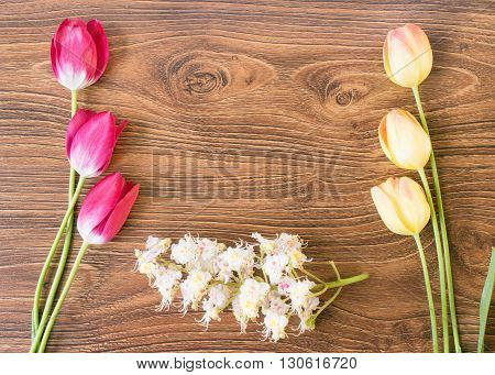 beautiful flowers tulips and chestnuts on a wooden table