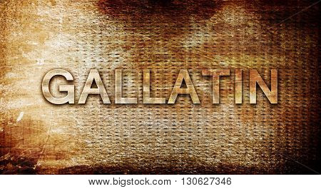 gallatin, 3D rendering, text on a metal background