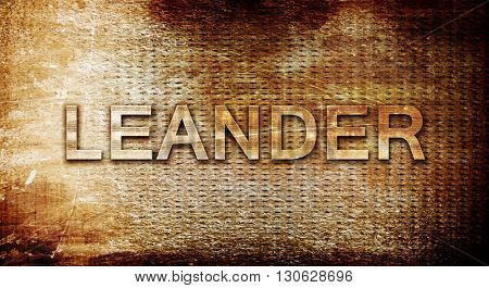 leander, 3D rendering, text on a metal background
