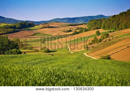Idyllic springtime landscape view of fields and meadows in Prigorje region of Croatia