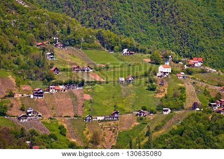 Hills of Plesivica vineyards and cottages northern Croatia