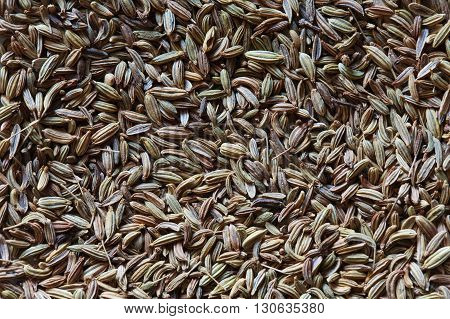 dry fennel seeds photo, asian spice background