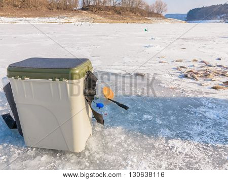 Catch fisherman fish on ice. Winter fishing caught a fish on the ice. A lot of fish on ice