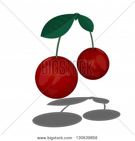  Two cherries on a stalk. Branch with cherry leaves. Ripe cherry.