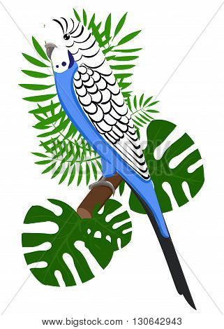 Parrots Cartoon Vector Illustration. Parrot set Exotic birds bird of paradise
