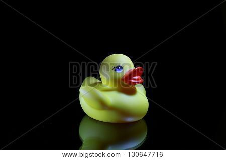 Plastic yellow bird  toy in black background