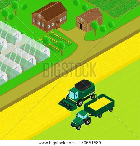 Vector illustration. Farm house with barn country road field of wheat. Combine and tractor trailer harvest wheat. The greenhouse crops. infographics isometric