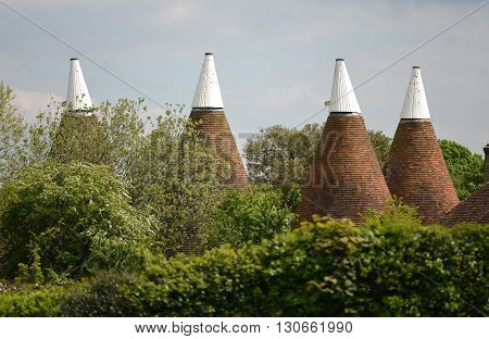 Kentish oast house roofs with white tops