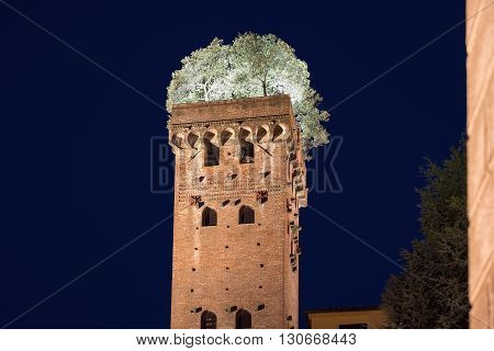 Medieval Guinigi Tower - in Lucca Tuscany Italy which has seven oak trees growing from the top. Photographed at night with illuminated trees for a dramatic look. A unique and quirky historical site in Europe.