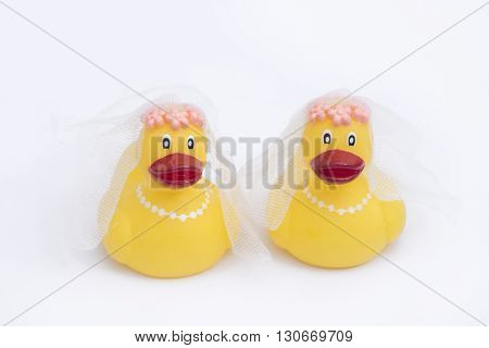 Rubber Ducky Gay Wedding