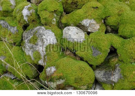 Stone Wall