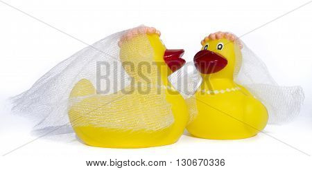 Rubber Ducky Gay Wedding