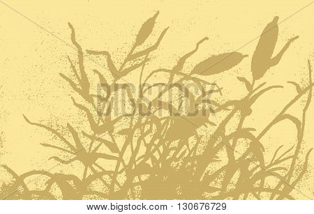 Reed Vector Illustration.