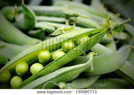 fresh sweet pod green peas on closeup