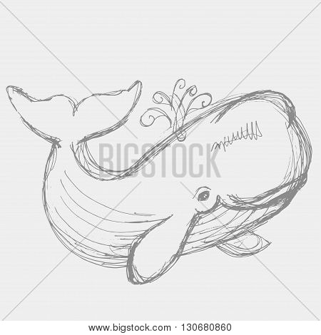 Whale Illustration.
