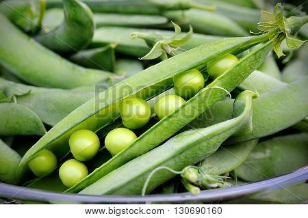 macro of fresh sweet pod green peas