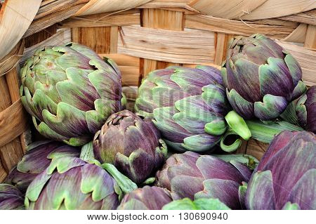 natural fresh artichokes in woven basket macro