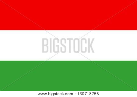 Flag of Hangary. Hangary flag vector illustration.