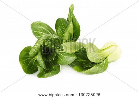 Pok Choi On White Background