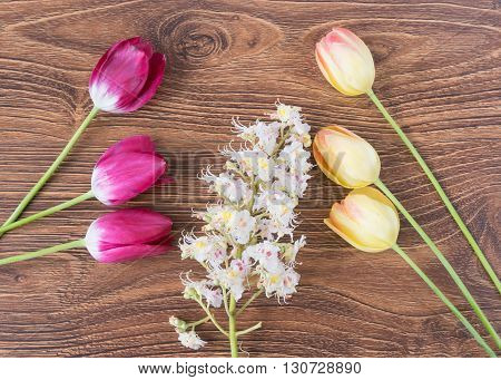 Beautiful Flowers Tulips And Chestnuts On A Wooden Table