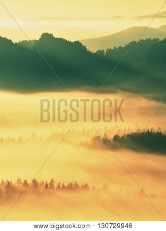 Autumn Sunrise. Beautiful Mountain Of Bohemia. Treetops And Peaks Of Hills Increased From Yellow And
