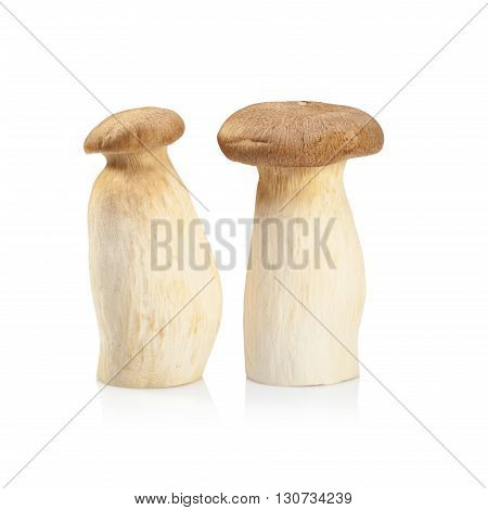 King Oyster Mushroom (eringi) Isolated On White Backgroud.