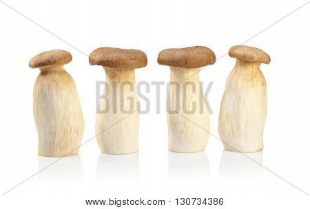 King Oyster Mushroom (eringi) Isolated On White Backgroud.