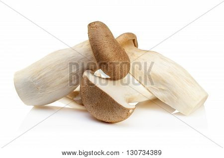 King Oyster Mushroom (eringi) Isolated On White Backgroud.