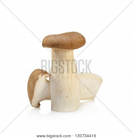 King Oyster Mushroom (eringi) Isolated On White Backgroud