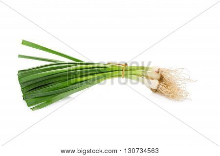 Allium Porrum Isolated On A White Background.